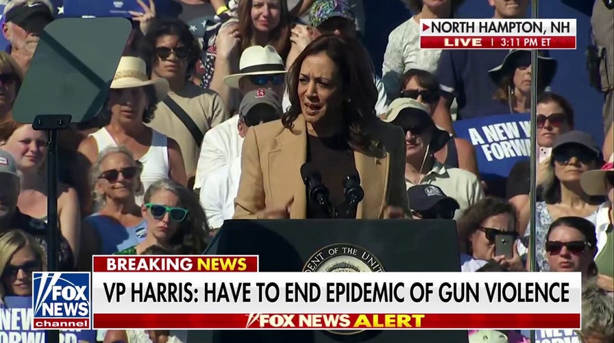 Kamala Harris: 'We have to end epidemic of gun violence in our country once and for all!'