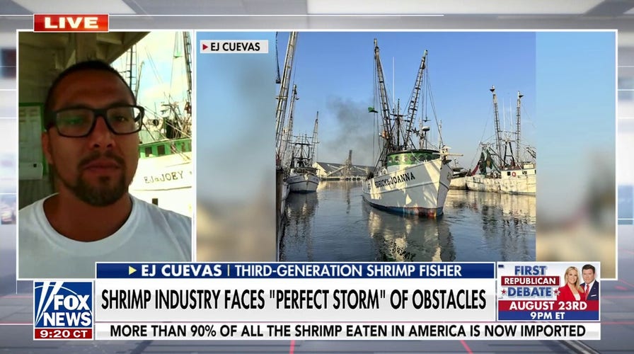 Shrimp industry facing 'perfect storm' of obstacles