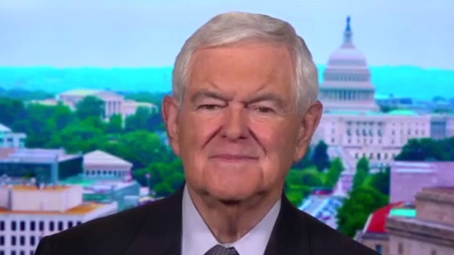 Newt Gingrich Democrats using Biden's Build Back Better plan to pay