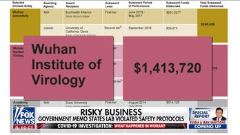 Biden admin halts funding for Chinese lab over concerns about safety and security
