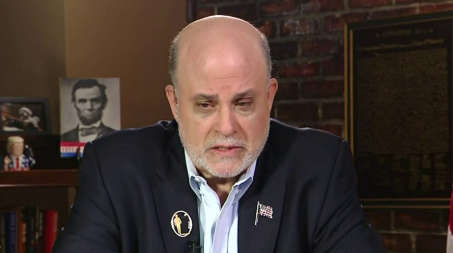 The media's just a reflection of the Democratic Party: Levin