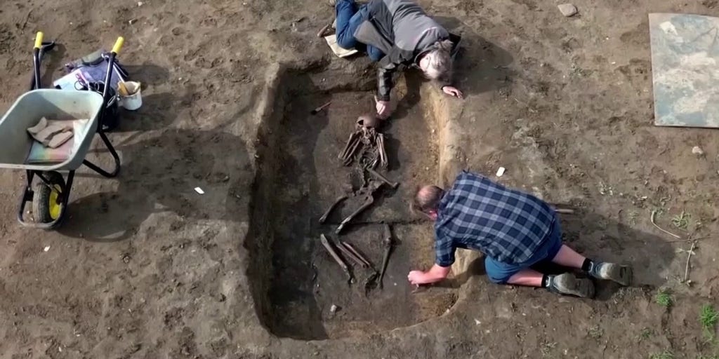Dozens of well-preserved Viking Age skeletons discovered in Denmark