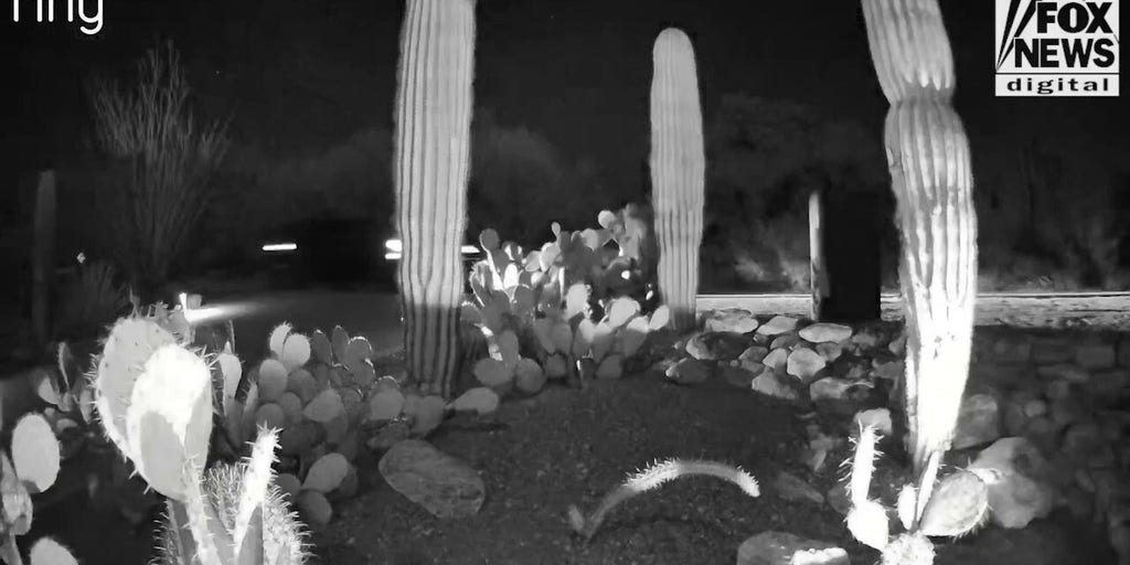 Ring video shows vehicles on outskirts of Nancy Guthrie's neighborhood morning of abduction