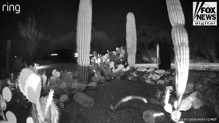 Ring video shows vehicles on outskirts of Nancy Guthrie's neighborhood morning of abduction