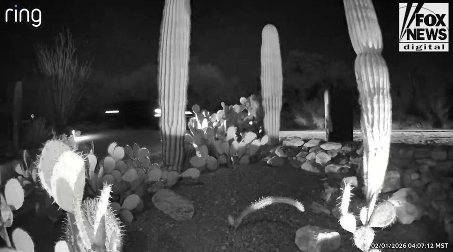 Ring video shows vehicles connected  outskirts of Nancy Guthrie's vicinity  greeting  of abduction