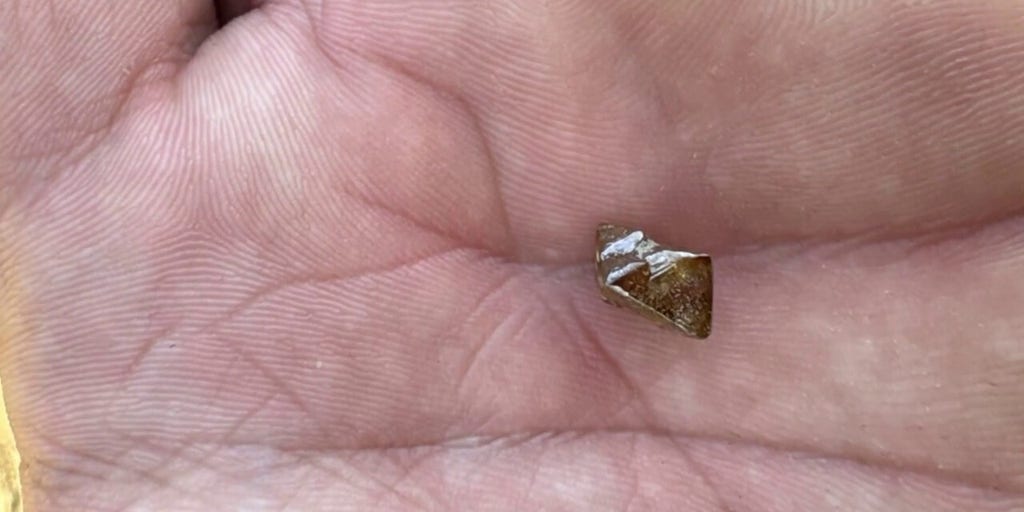 Minnesota man unearths precious diamond at Crater of Diamonds State Park in Arkansas