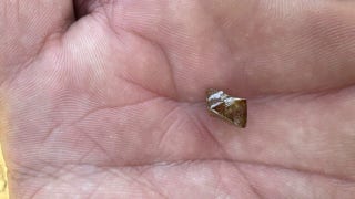 Minnesota man unearths precious diamond at Crater of Diamonds State Park in Arkansas - Fox News