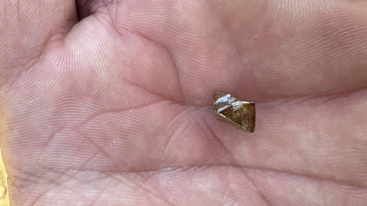Minnesota man unearths precious diamond at Crater of Diamonds State Park in Arkansas