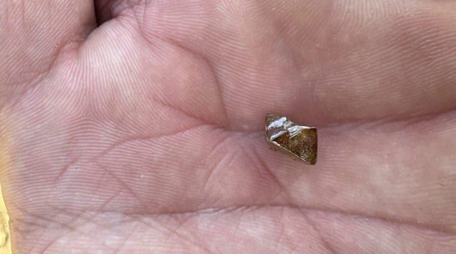 Minnesota farmer finds 3.81-carat brown diamond at Crater of