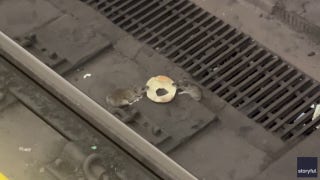 Rats fight over bagel on NYC subway tracks: See the chaotic scene