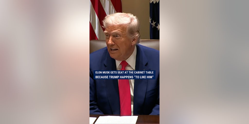 Elon Musk gets seat at the cabinet table because Trump happens “to like him”