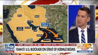 Sen Tom Cotton discusses US naval blockade on the Strait of Hormuz