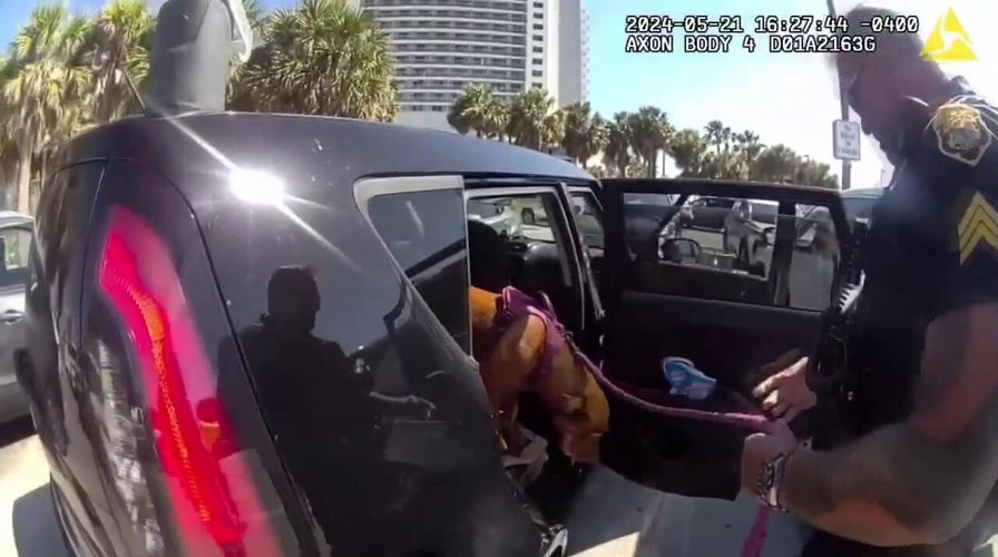 Florida police officers rescue dog left in hot car at Clearwater Beach