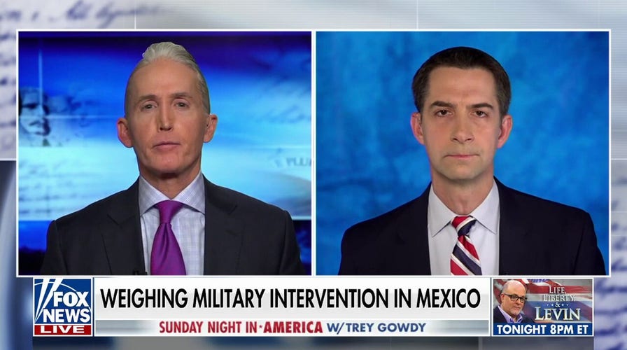 If the Mexican government doesn't want to help us stop the cartels, so be it: Tom Cotton