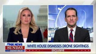Democrat rep calls on government to ‘put more information out there’ on drone sightings - Fox News