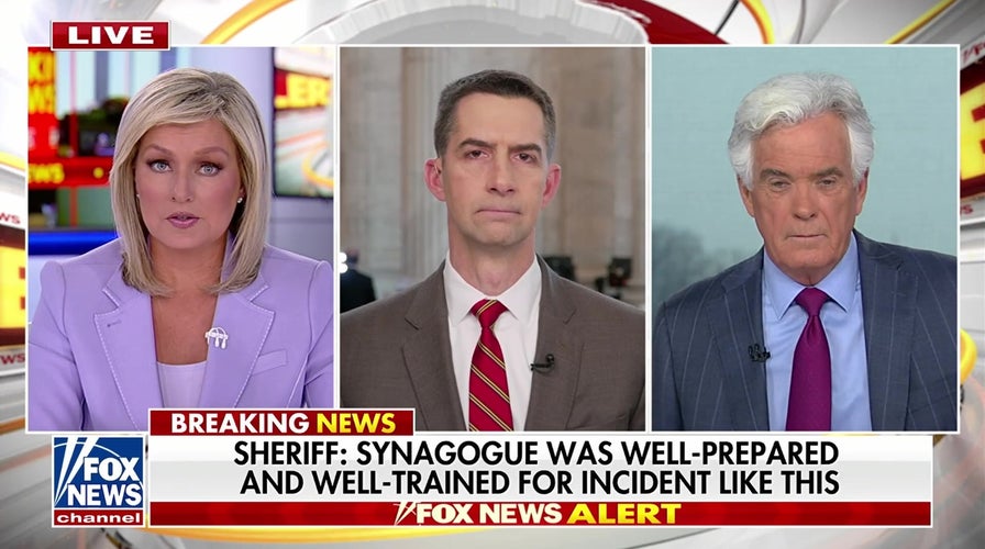 We must condemn this antisemitic attack, Sen Tom Cotton says