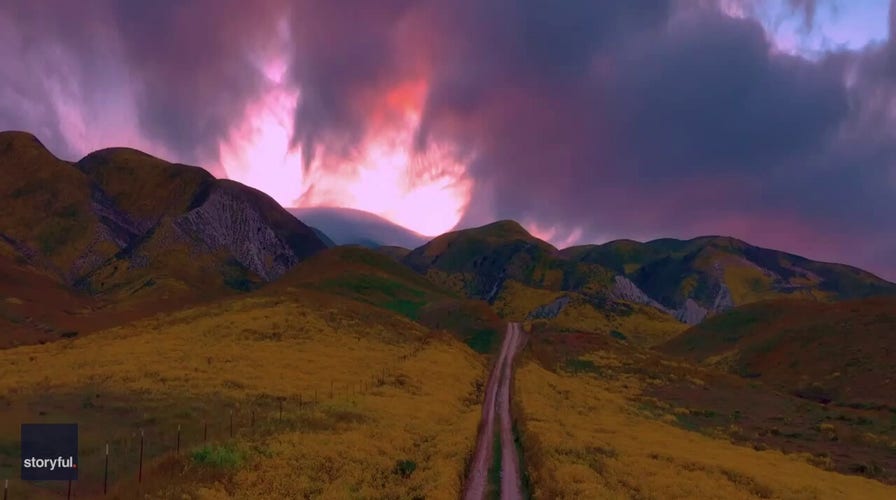 Spring announces its arrival with dazzling California superbloom