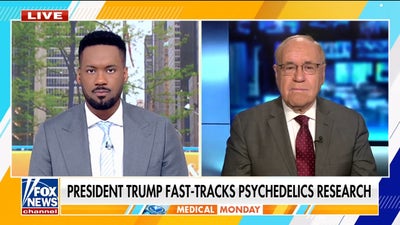 FDA pushes psychedelic therapy research for PTSD