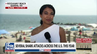 2 shark sightings make headlines at Rockaway Beach