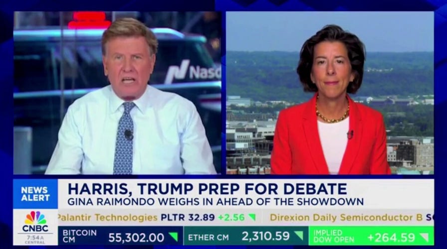 Harris surrogate dismisses CNBC host after he claims VP has been 'impossible to pin down'