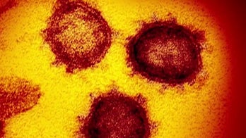 Jason Chaffetz: Coronavirus devastates state and local government budgets – officials need to cut spending