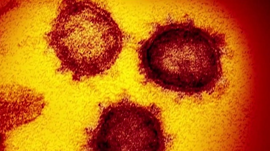FDA clears first saliva test to diagnose coronavirus