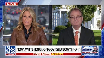 Democrats really don't have a plan, White House official says