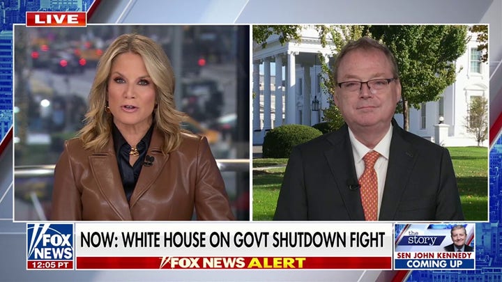 Democrats really don't have a plan, White House official says