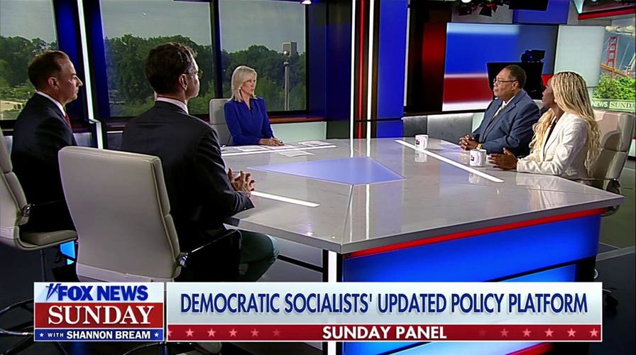 New DSA platforms spark backlash