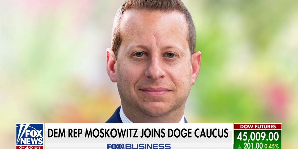 Democrat joins DOGE caucus: 'A bipartisan cause'