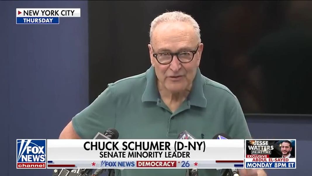 Schumer touts Democrats as ‘big tent party’ amid socialist surge