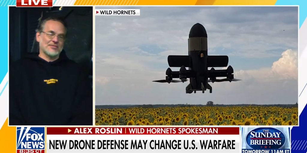 Ukrainian nonprofit spokesman details how drone interceptors could change combat