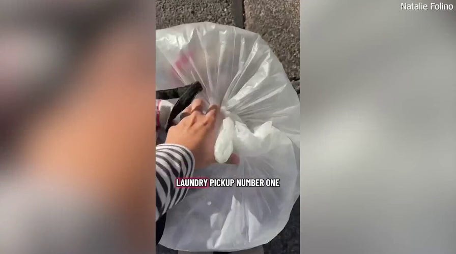 Ohio mom does laundry side hustle to make ends meet during government shutdown