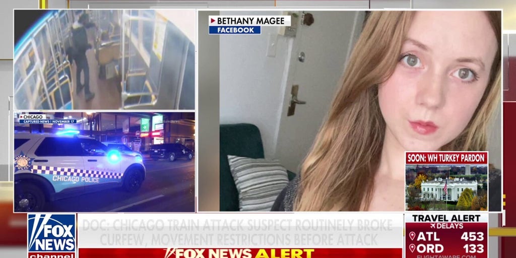 Chicago train attack suspect had 72 prior arrests, 15 convictions, records say