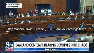 House hearing spirals into chaos: Lawmakers 'screaming and insulting' each other - Fox News