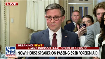 Mike Johnson: This aid package is not a blank check