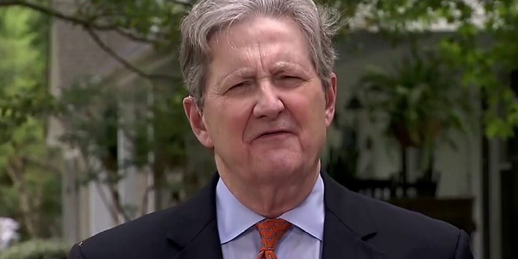 Sen. Kennedy: Congress tried to hide 'spending porn on pet projects' in stimulus bill, but Americans noticed