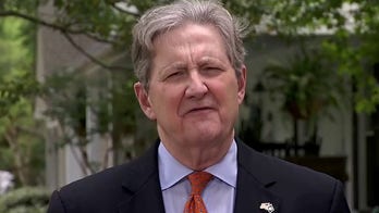 Sen. Kennedy: Congress tried to hide 'spending porn on pet projects' in stimulus bill, but Americans noticed