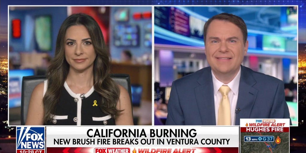 California Democrats are showing ‘they don’t give a damn’ about wildfire victims, state lawmaker says