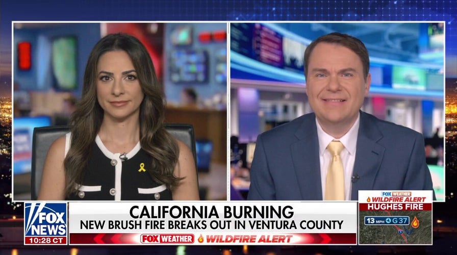 California Democrats are showing ‘they don’t give a damn’ about wildfire victims, state lawmaker says