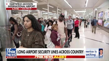 Airport chaos: ICE agents deployed to ease TSA lines amid government shutdown