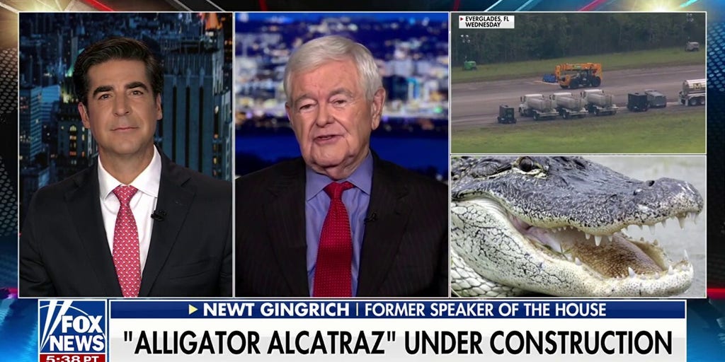 Newt Gingrich: Trump's 'decisive breakthroughs' drive the Left crazy