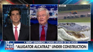 Newt Gingrich: Trump's 'decisive breakthroughs' drive the Left crazy