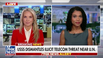 ‘Problematic’ hidden telecom network dismantled: Secret Service