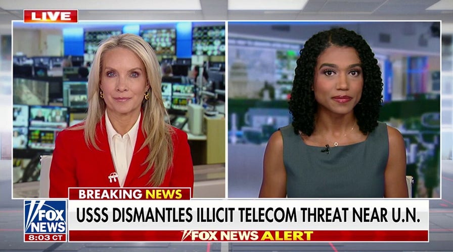 ‘Problematic’ hidden telecom network dismantled: Secret Service