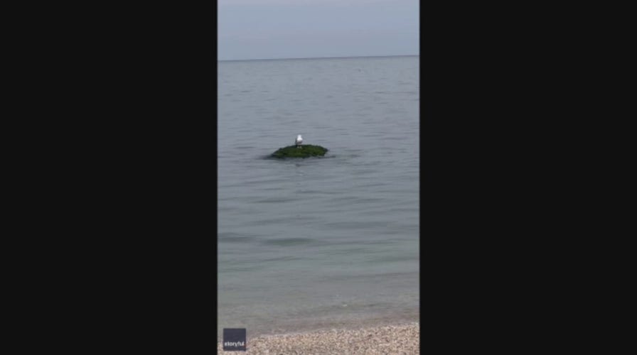 New York City assemblyman makes emergency landing on Long Island beach