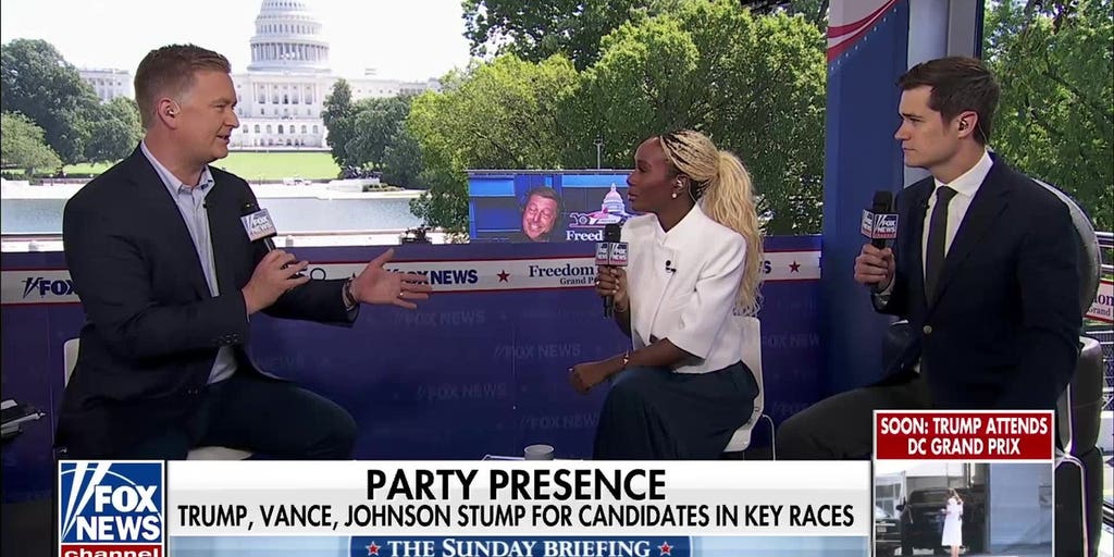Democrats need to ‘make peace’ within their own house ahead of midterms: WSJ reporter