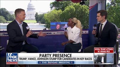 Democrats need to ‘make peace’ within their own house ahead of midterms: WSJ reporter
