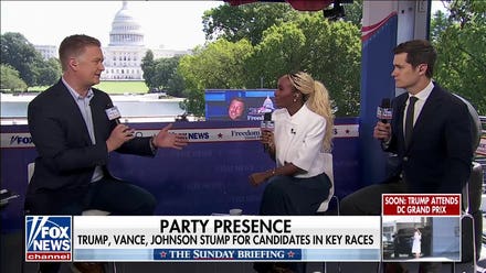 Democrats need to ‘make peace’ within their own house ahead of midterms: WSJ reporter