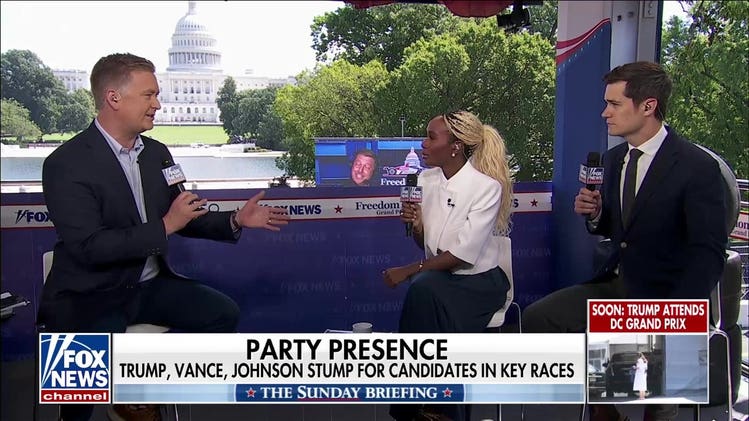 Democrats need to ‘make peace’ within their own house ahead of midterms: WSJ reporter